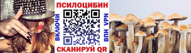 купить наркоту Новокузнецк Галлюциногенные грибы Psilocybe