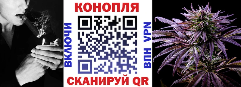 МАРИХУАНА тримм дарнет шоп Новокузнецк